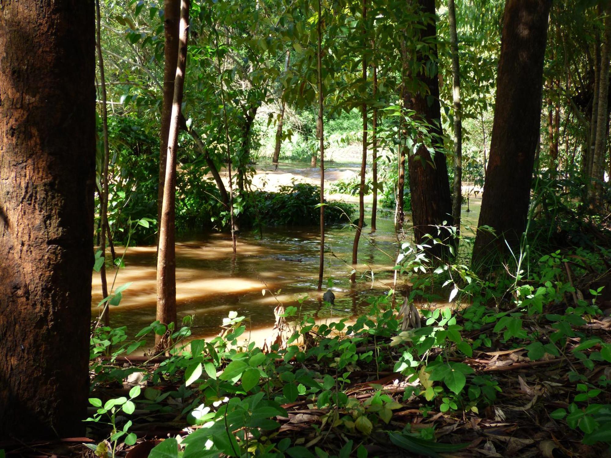 Le Pristine Wellness And Healing Hotel 니에리 외부 사진